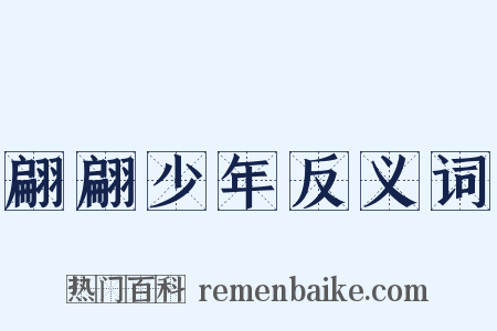 翩翩少年反义词是什么意思的图片